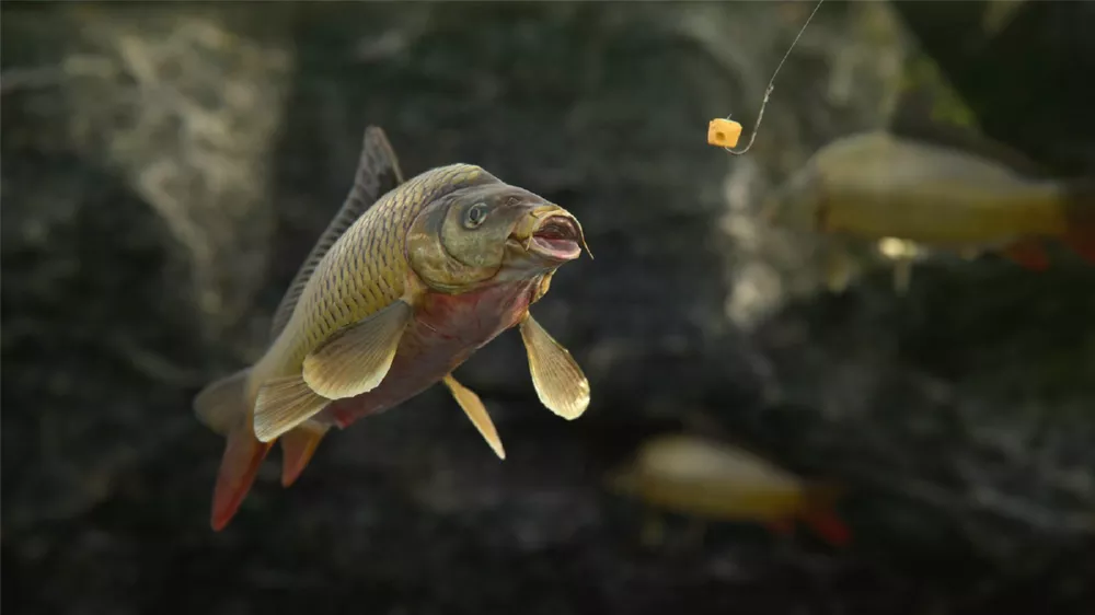 图片[2] - PC游戏《人渣 Scum》v0.9.538.73922 中文版下载 - 乐享应用