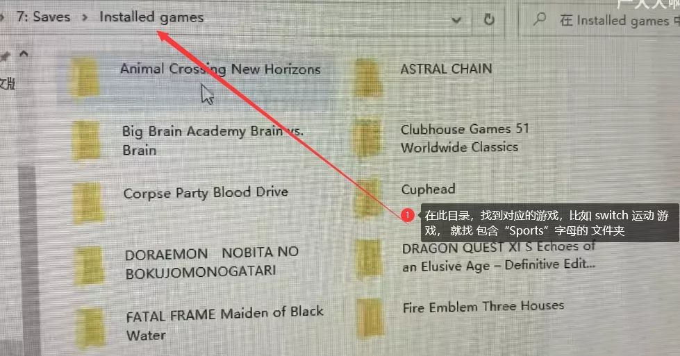 图片[5] - Switch游戏存档修改_替换备份方法_图文教程 - 乐享应用