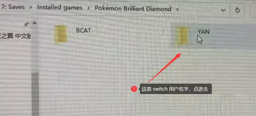 图片[6] - Switch游戏存档修改_替换备份方法_图文教程 - 乐享应用