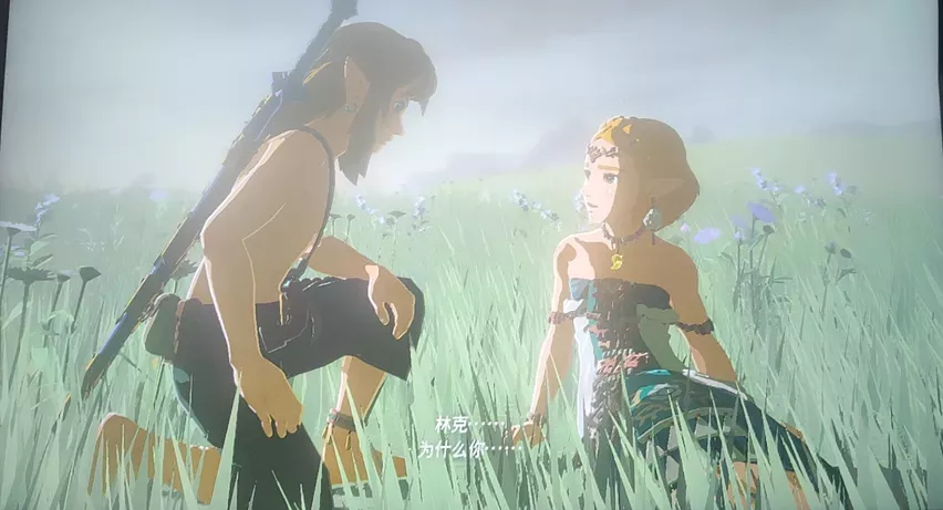 图片[2] - Switch游戏《塞尔达传说 王国之泪》通关存档 - 乐享应用