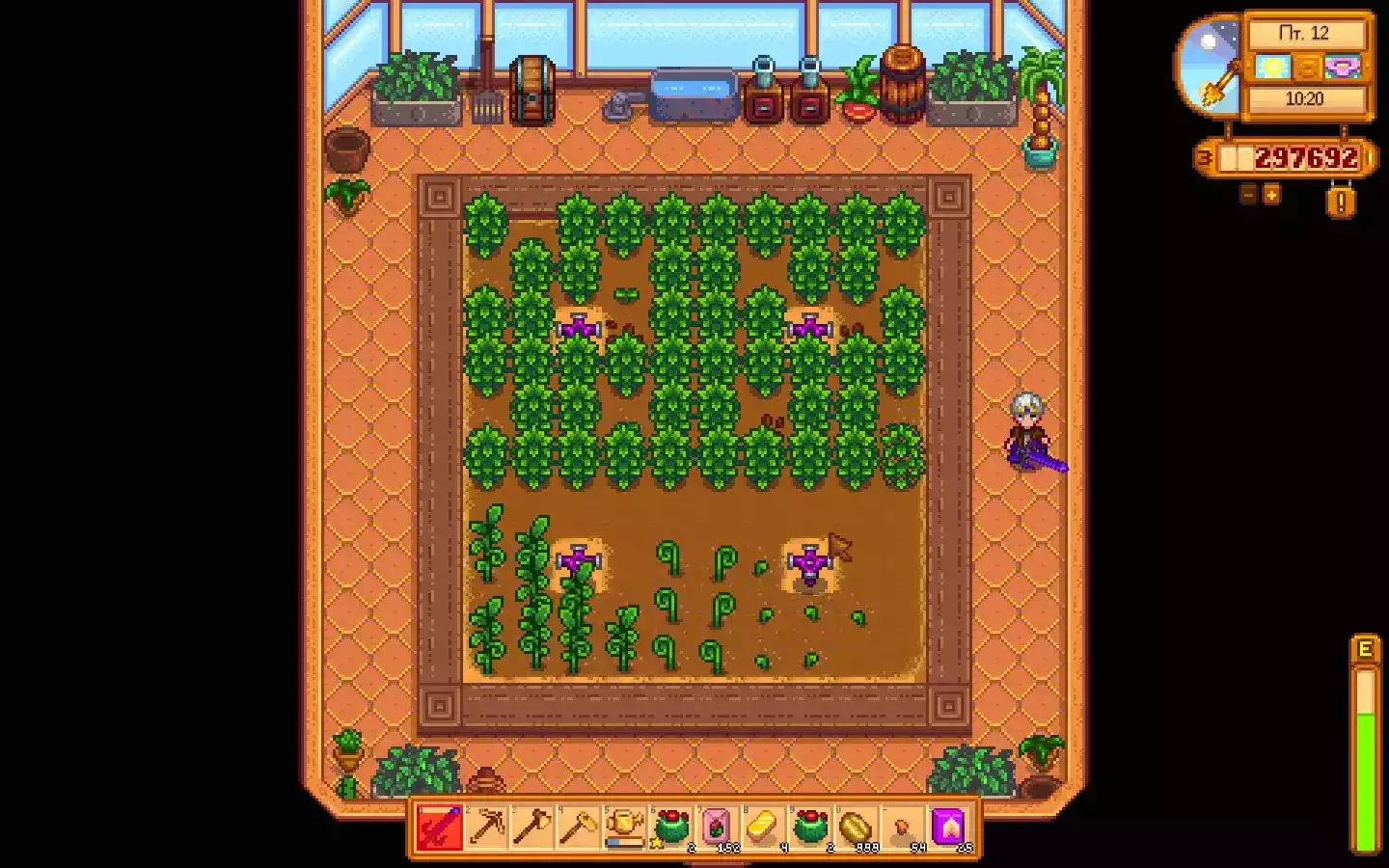 图片[2] - Switch游戏《星露谷物语》温室扩大10倍 MOD 下载 - 乐享应用