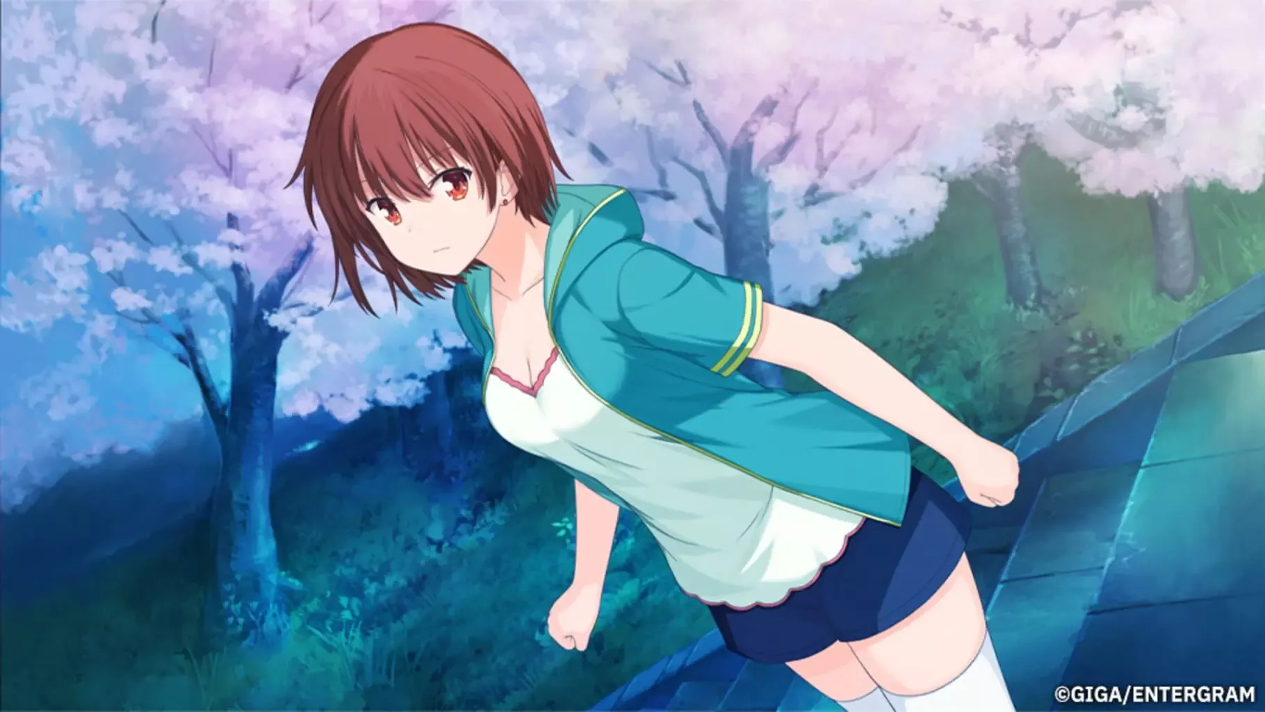 图片[2] - Switch游戏《青空下的约定 Refine》XCI下载+1.0.1补丁 - 乐享应用