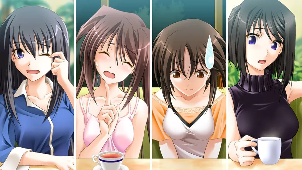 图片[2] - Switch游戏《秋之回忆5 中断的胶片》XCI下载+1.0.1补丁 - 乐享应用