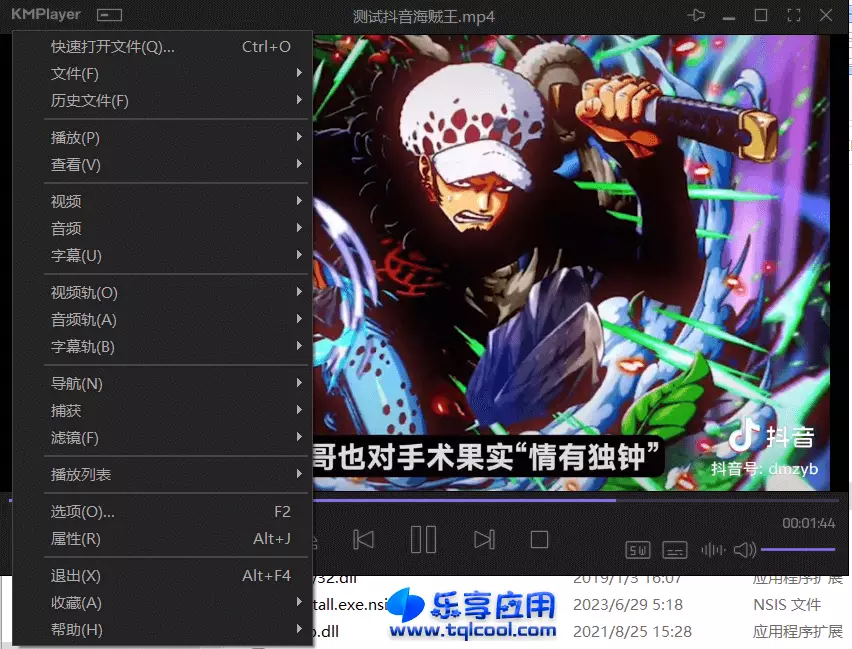 图片[1] - KMPlayerv10.0 便携版下载 DVD多媒体播放器 - 乐享应用