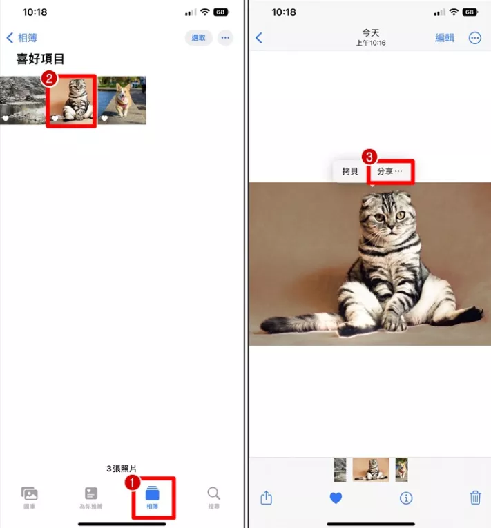 图片[4] - 苹果 iPhone 一键快速去背景 抠图教学 - 乐享应用