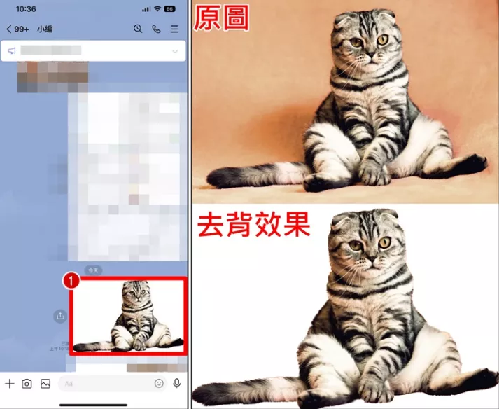 图片[6] - 苹果 iPhone 一键快速去背景 抠图教学 - 乐享应用