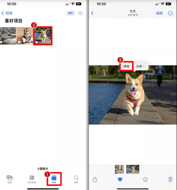 图片[7] - 苹果 iPhone 一键快速去背景 抠图教学 - 乐享应用