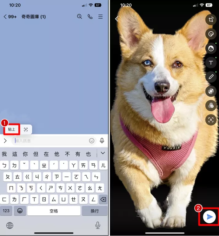 图片[8] - 苹果 iPhone 一键快速去背景 抠图教学 - 乐享应用