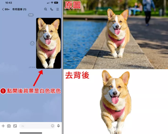 图片[9] - 苹果 iPhone 一键快速去背景 抠图教学 - 乐享应用
