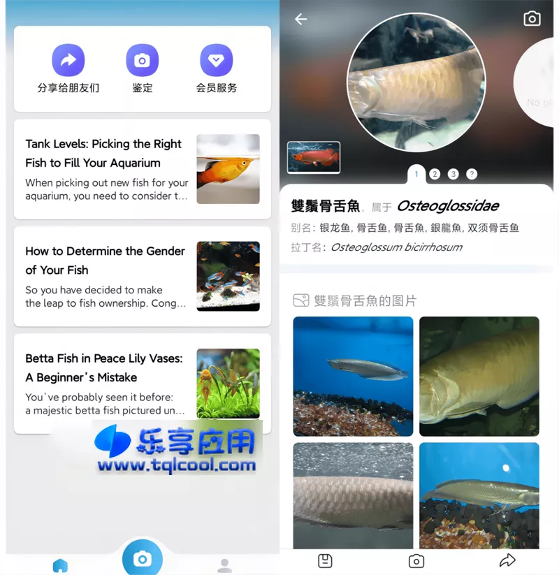 图片[1] - 安卓 Picture Fish v2.4.18 智能AI鱼类鉴定识别 - 乐享应用